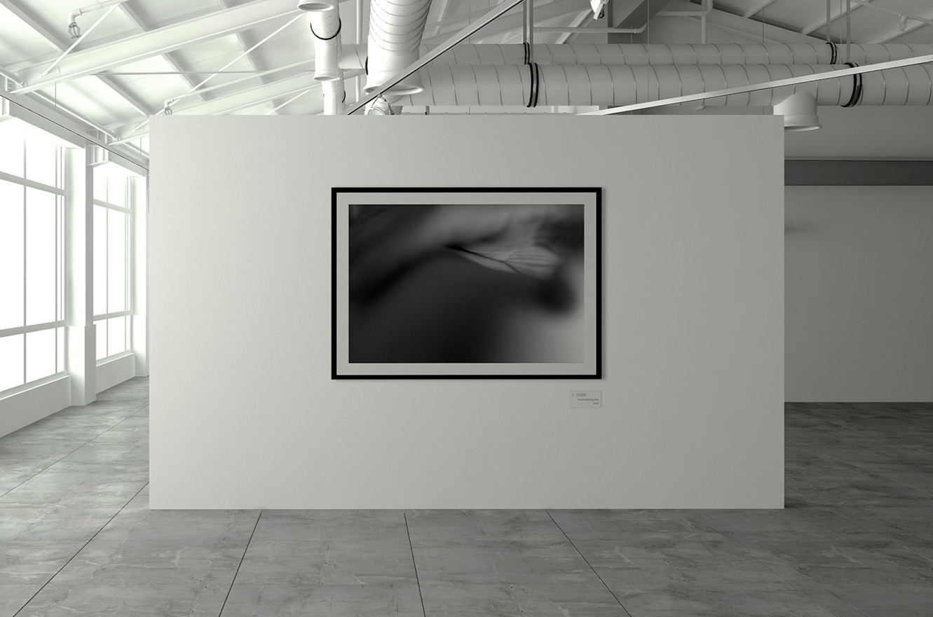 mostra-fotografia3